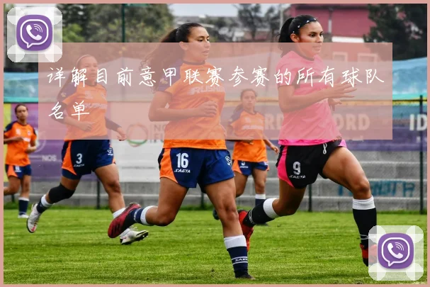 详解目前意甲联赛参赛的所有球队名单