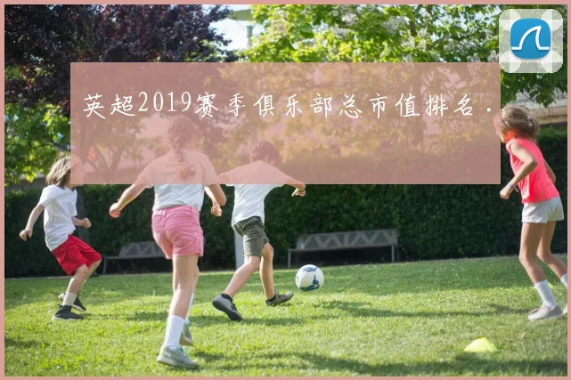 英超2019赛季俱乐部总市值排名 .
