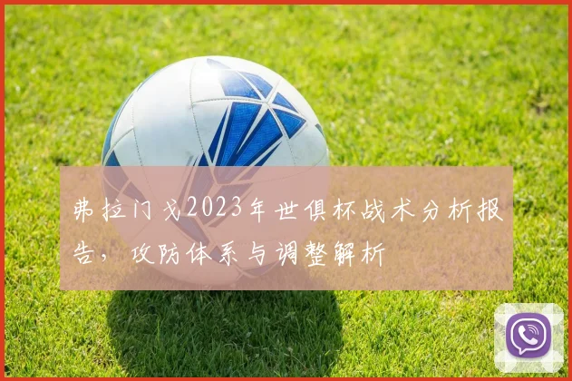 弗拉门戈2023年世俱杯战术分析报告，攻防体系与调整解析