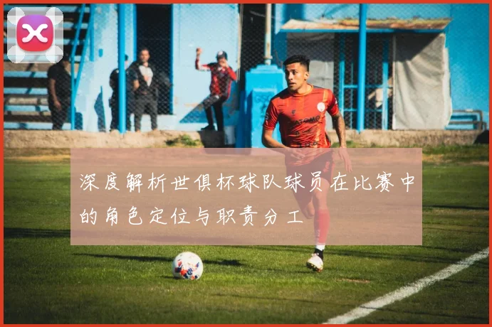 深度解析世俱杯球队球员在比赛中的角色定位与职责分工