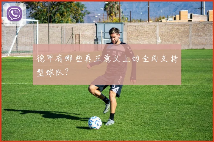 德甲有哪些真正意义上的全民支持型球队？